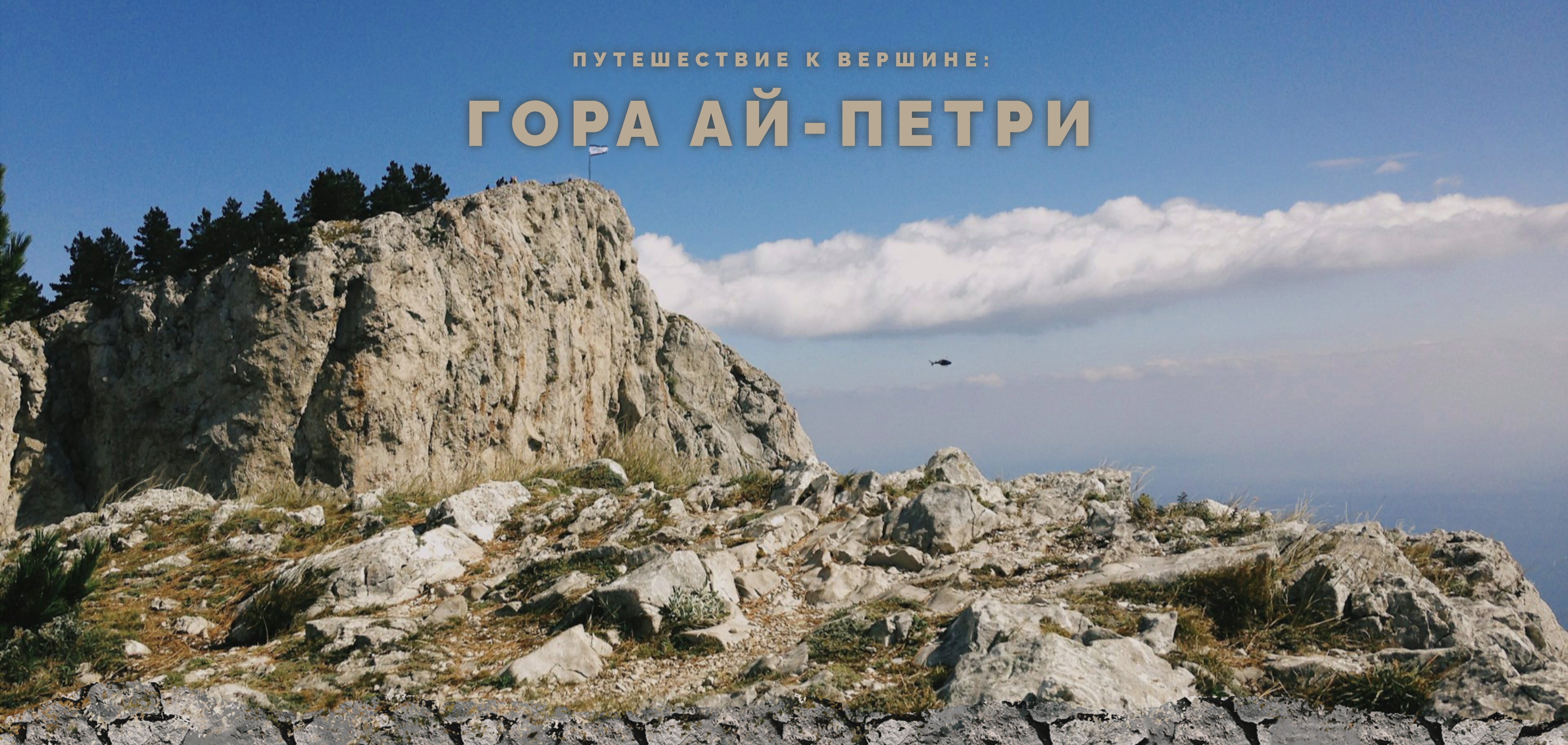 Скриншот проекта